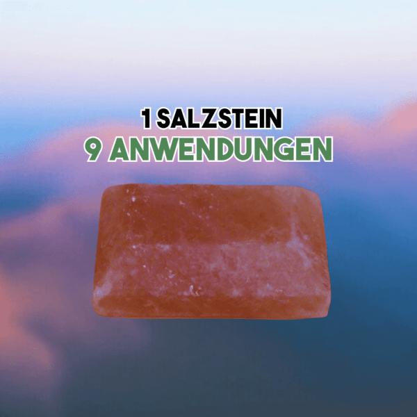 Steinsalz (ohne Zusätze!) aus dem Salzgebirge zwischen Indus und Himalaya